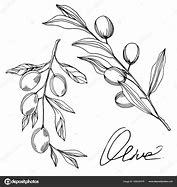 Image result for Olive Branch On Black Background