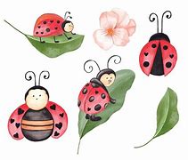 Image result for Watercolor Ladybug Flower Clip Art