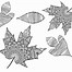 Image result for Coloring Picture of Leaf