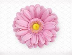 Image result for Flower Vector Icon