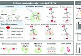 Image result for Unnatural Protein