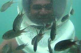 Image result for Under the Sea World