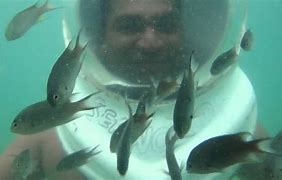 Image result for Under the Sea Dramatic Play