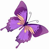 Image result for Butterfly Home Appliances Logo.png