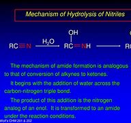 Image result for Hydrolysis of Amide