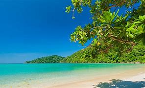 Image result for Tropical Island Ocean