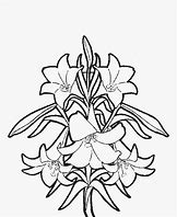 Image result for Jungle Trees Coloring Pages