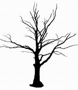 Image result for Scary Tree Pencil Drawing