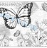 Image result for Rainbow Butterfly Coloring Pages Printable