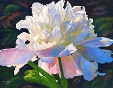 Image result for Watercolor Peony Prints