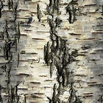 Image result for Birch Leaf Pattern