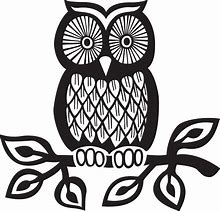 Image result for Owl On Branch Print Out