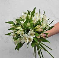 Image result for Alstroemeria White Flower Bridal Bouquet