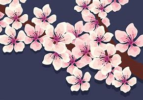 Image result for Japanese Cherry Blossom Vector