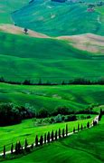 Image result for Beautiful Green Background