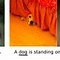 Image result for Gans Images Neural Networks Examples