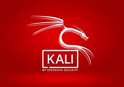 Image result for Kali Linux Hacker Backgrounds