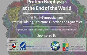 Image result for Protein Biophysics