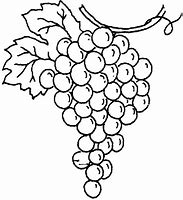 Image result for Grapes ClipArt Black and White