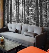 Image result for Black N White Forest Mural