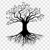 Image result for Tree Branches Background