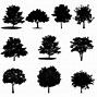 Image result for Maple Tree Branch Vector