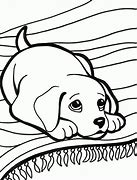 Image result for Pet Care Coloring Pages