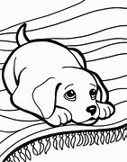 Image result for Jungle Animal Coloring Sheets