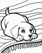 Image result for Jungle Coloring Pages for Preschoolers