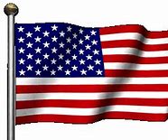 Image result for South US Flag Icon