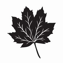 Image result for Simple Yellow Maple Leaf Vector