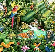 Image result for Jungle Scene Art