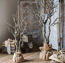 Image result for Dries Tree Branch Decoration