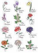 Image result for Ziavia Birth Month Flower