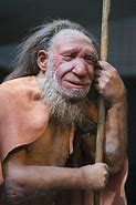 Image result for Neanderthal Bust Model