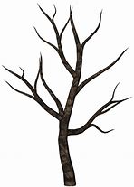 Image result for Scary Tree Pencil Drawing