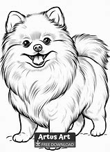 Image result for Pomeranian Dog Coloring Pages