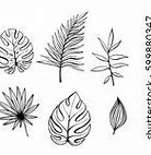 Image result for Basic Leaf Outline