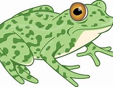 Image result for 5 Green and Speckled Frogs Printable