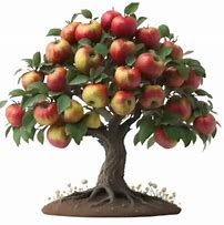 Image result for Apple Tree Images. Free