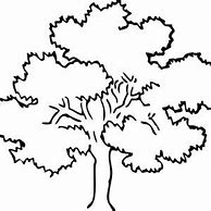 Image result for Acorn Tree Coloring Page