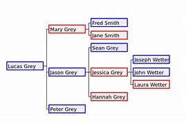 Image result for Blank Family Tree SVG