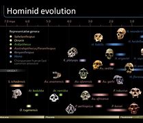 Image result for Earliest Hominids