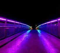 Image result for Neon Lights Wallpapers