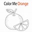 Image result for Orange Coloring Pages Printable