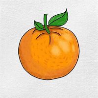 Image result for Orange Sketch