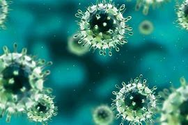 Image result for Germ Theory