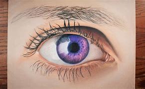 Image result for Human Eye Pencil Drawing