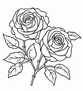 Image result for Advanced Rose Coloring Pages S