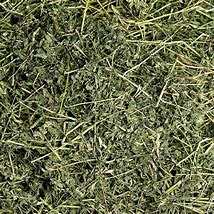 Image result for Alfalfa Hay and Color Variation